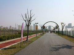 -菊园百果园