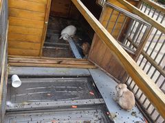 -青岛鑫江温德姆酒店