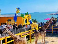 -西霞口神雕山野生动物世界