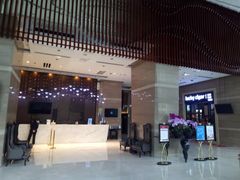 -长沙小天鹅戴斯酒店