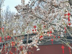 -钱王祠
