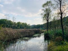 -西湖风景区-江洋畈生态公园