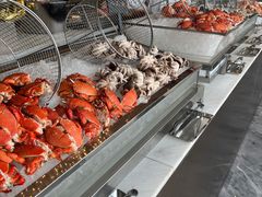 -济南凯宾斯基酒店-THE VIEW云景全日制餐厅