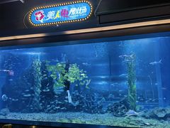 -顺德南宏海立方海洋公园