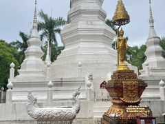 -西双版纳傣族园