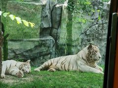 -北京野生动物园