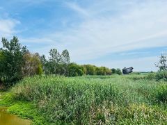 -泗洪洪泽湖湿地景区