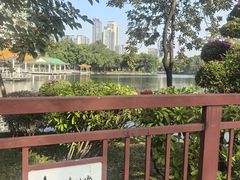 -荔湾湖公园