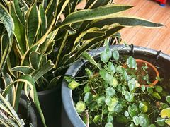 -813芭依珊 BAESAn(皇冠十畝地店)