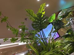 -海底捞火锅(旭辉MALL店)