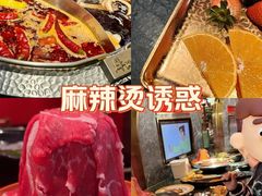 -牛New寿喜烧(金鹰世界店)