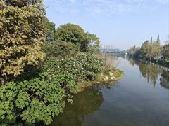 -洋湖国家湿地公园