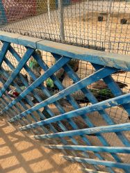 -萌宠亲子动物乐园(槐房万达店)