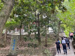 -溪口-滕头旅游景区