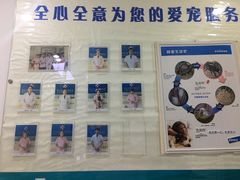 -全心全意连锁动物医院(加州店)