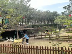 -盈香心动乐园