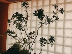 -左庭右院鲜牛肉火锅(七宝领展广场店)