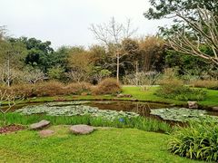 -中国科学院西双版纳热带植物园