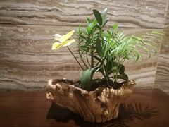 -威珀斯酒店·珀萃美食餐厅 | 海鲜刺身·现烤生蚝·特色烤肉