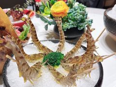 -红鼎豆捞·非遗鲍皇汤火锅(宝丰路店)