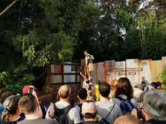 -奥兰多迪士尼动物王国乐园