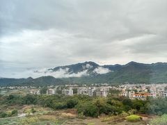 -汪玉霞(汉口里店)