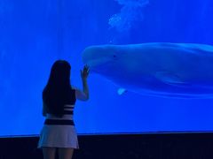 -多彩贵州城极地海洋世界