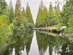 -东平国家森林公园
