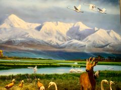 -中国湿地博物馆