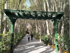 -艾提尕尔清真寺