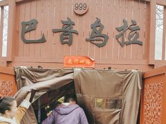 -蒙古大营(朝阳公园店)
