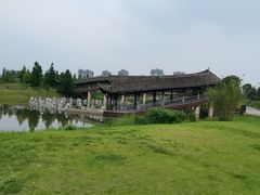 -眉山湿地公园(东坡区)