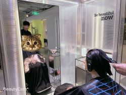 -AYO SALON