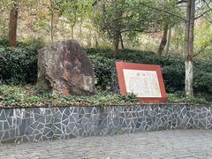 -南京老山国家森林公园