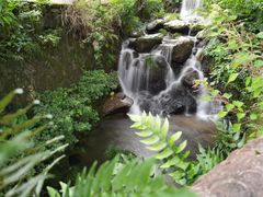 -藏龙百瀑风景区