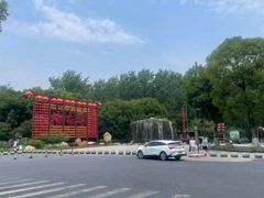 -合肥滨湖国家森林公园