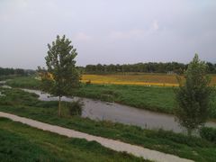-洨河生态公园