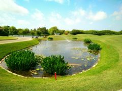 球场-滨海高尔夫俱乐部