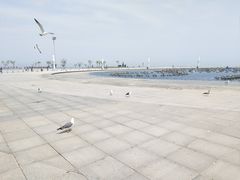 -东港音乐喷泉广场