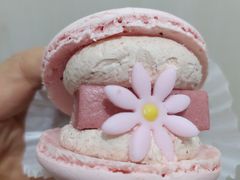 -好利来(四季青店)