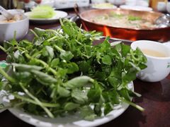 水香菜-朝伟清真铜瓢牛肉馆(三十年老·店)