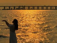 -宝安西湾红树林湿地公园