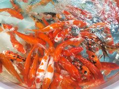 -昆明动物园