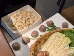 -同仁四季椰子鸡(无锡滨湖万象汇店)