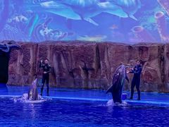 -华夏文旅海洋公园