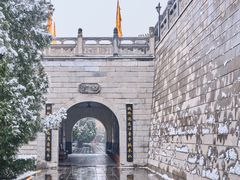 -大槐树寻根祭祖园