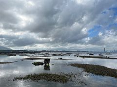-后海村