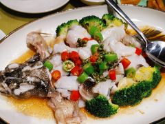 -顺意·顺德家乡菜(国际人才大厦店)