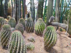 -南山植物园