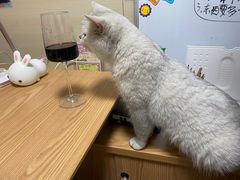 -FAELING PETS美天灵宠物(富力广场店)